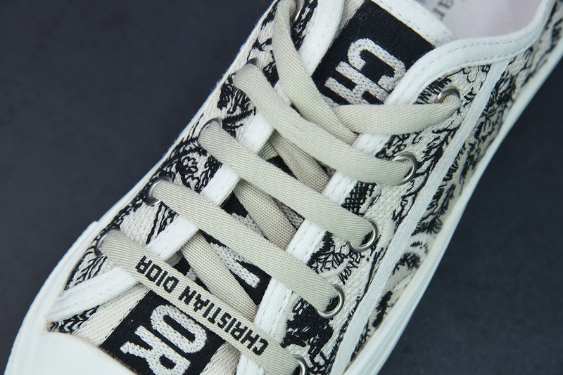 dio* x converse sneaker